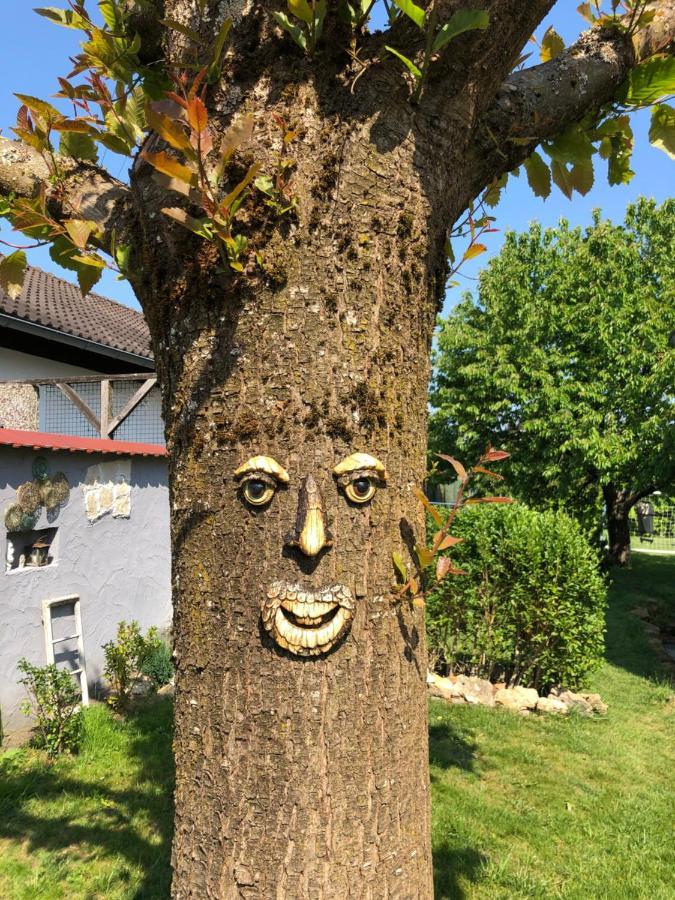 Ferien- Und Monteurswohnung Heilbrunnen Woerth am Rhein Exteriér fotografie